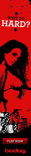 Find what you are looking for at Bodog POker.